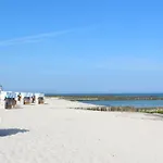 Uferschwalbe