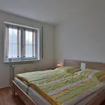 Uferschwalbe
