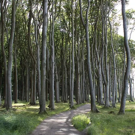 Uferschwalbe Lejlighed *