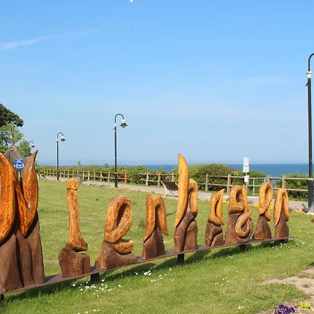 Uferschwalbe